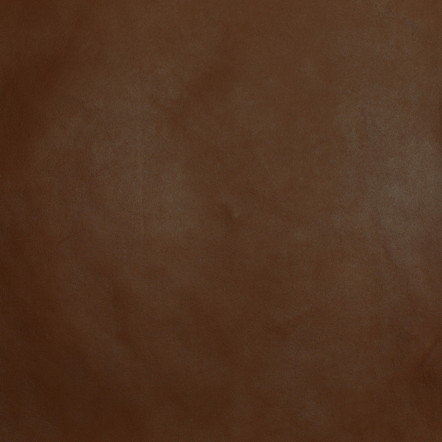 Camel leather color