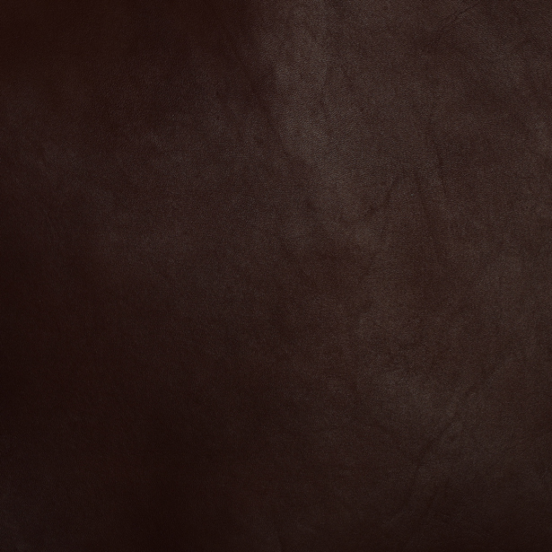 Charlotte leather color