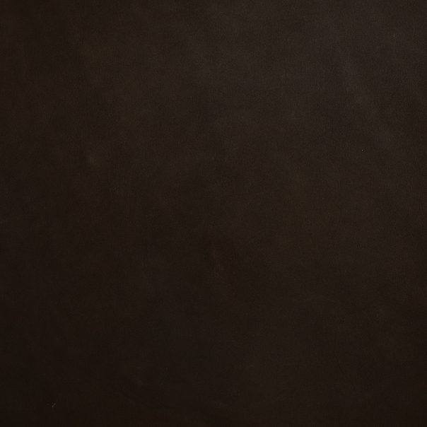 Earthy leather color